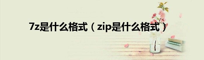 7z是什么格式（zip是什么格式）