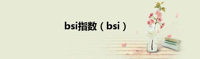 bsi指数（bsi）