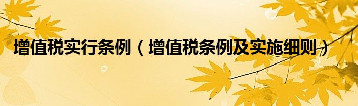 增值税实行条例（增值税条例及实施细则）