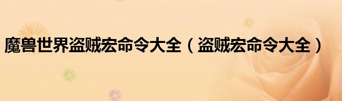 魔兽世界盗贼宏命令大全（盗贼宏命令大全）