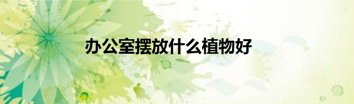 办公室摆放什么植物好