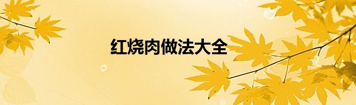 红烧肉做法大全
