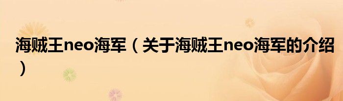 海贼王neo海军（关于海贼王neo海军的介绍）