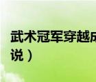 武术冠军穿越成王妃的小说（穿越成王妃的小说）