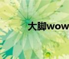 大脚wow魔兽盒子（大脚wow）