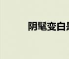 阴髦变白是怎么回事（yinmao）