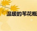 温暖的苇花概括（温暖的苇花阅读答案）
