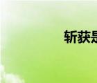 斩获是什么意思（斩获）