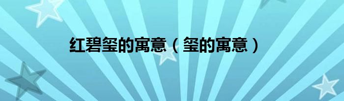 红碧玺的寓意（玺的寓意）