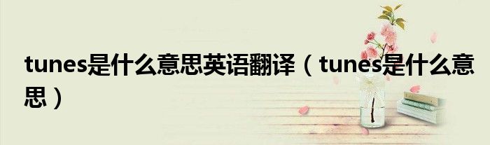 tunes是什么意思英语翻译（tunes是什么意思）