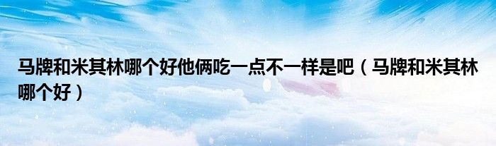 马牌和米其林哪个好他俩吃一点不一样是吧（马牌和米其林哪个好）