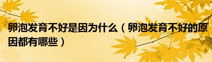 卵泡发育不好是因为什么（卵泡发育不好的原因都有哪些）