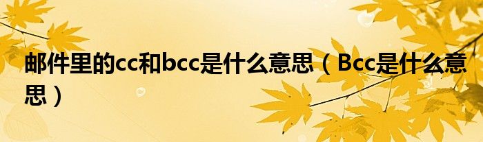 邮件里的cc和bcc是什么意思（Bcc是什么意思）