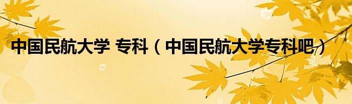 中国民航大学 专科（中国民航大学专科吧）