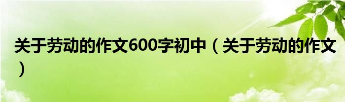 关于劳动的作文600字初中（关于劳动的作文）