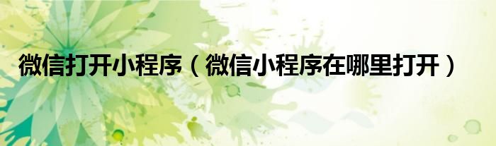 微信打开小程序（微信小程序在哪里打开）