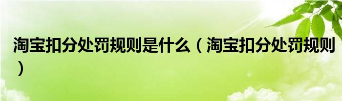 淘宝扣分处罚规则是什么（淘宝扣分处罚规则）