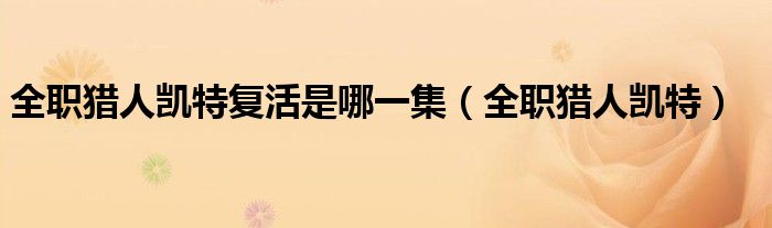 全职猎人凯特复活是哪一集（全职猎人凯特）