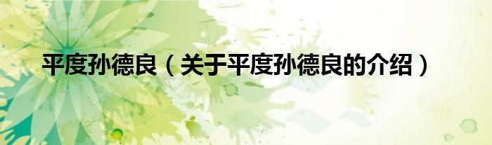 平度孙德良（关于平度孙德良的介绍）