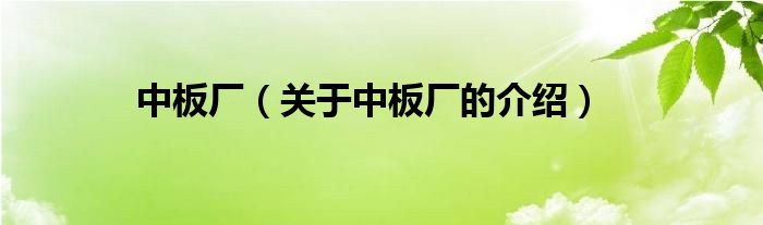 中板厂（关于中板厂的介绍）
