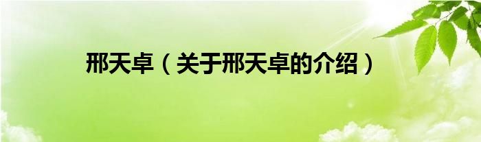 邢天卓（关于邢天卓的介绍）