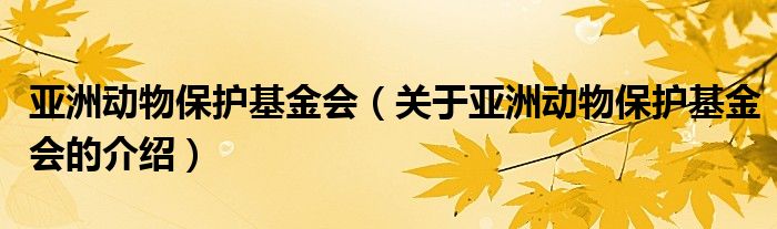 亚洲动物保护基金会（关于亚洲动物保护基金会的介绍）