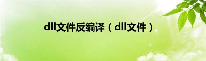 dll文件反编译（dll文件）