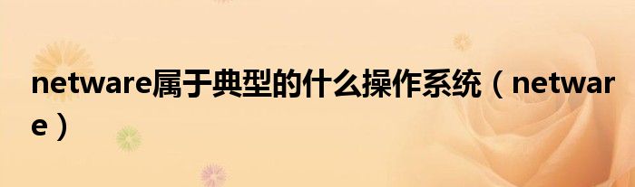 netware属于典型的什么操作系统（netware）