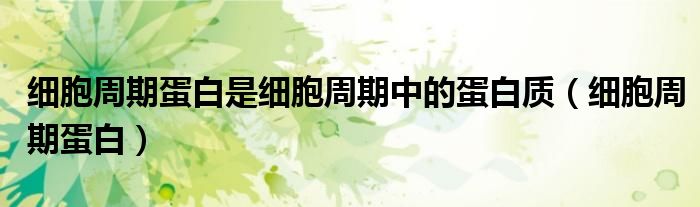 细胞周期蛋白是细胞周期中的蛋白质（细胞周期蛋白）