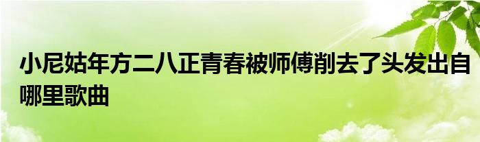小尼姑年方二八正青春被师傅削去了头发出自哪里歌曲