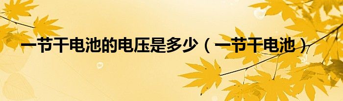一节干电池的电压是多少（一节干电池）