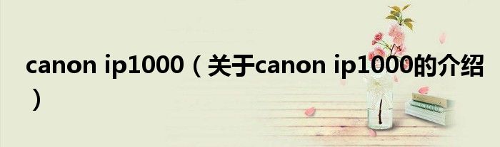 canon ip1000（关于canon ip1000的介绍）