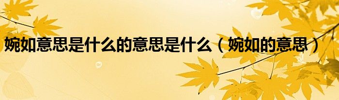 婉如意思是什么的意思是什么（婉如的意思）