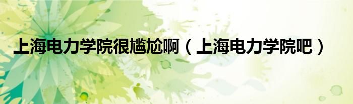 上海电力学院很尴尬啊（上海电力学院吧）