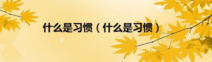 什么是习惯（什么是习惯）