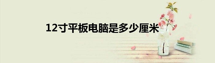 12寸平板电脑是多少厘米