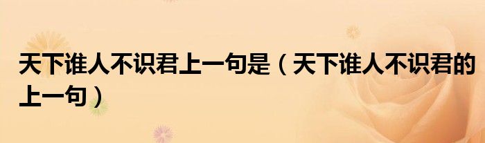 天下谁人不识君上一句是（天下谁人不识君的上一句）
