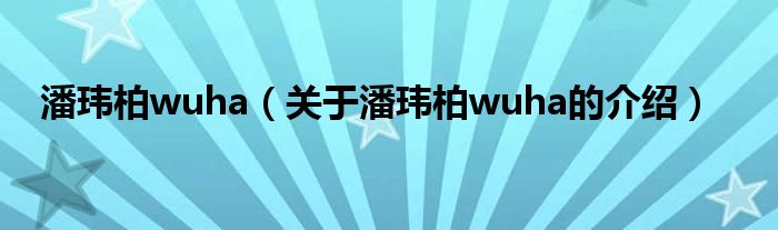 潘玮柏wuha（关于潘玮柏wuha的介绍）
