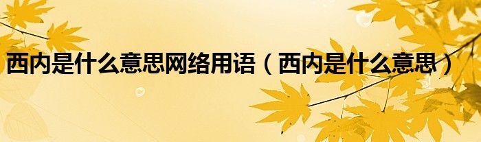 西内是什么意思网络用语（西内是什么意思）