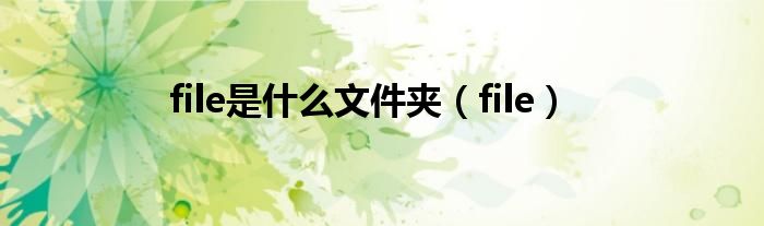 file是什么文件夹（file）
