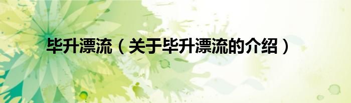 毕升漂流（关于毕升漂流的介绍）