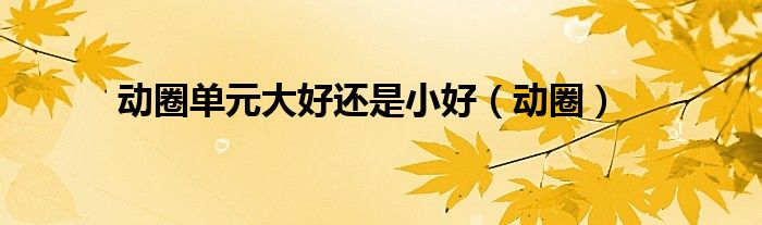 动圈单元大好还是小好（动圈）