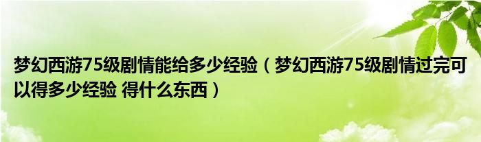 梦幻西游75级剧情能给多少经验（梦幻西游75级剧情过完可以得多少经验 得什么东西）