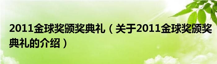 2011金球奖颁奖典礼（关于2011金球奖颁奖典礼的介绍）