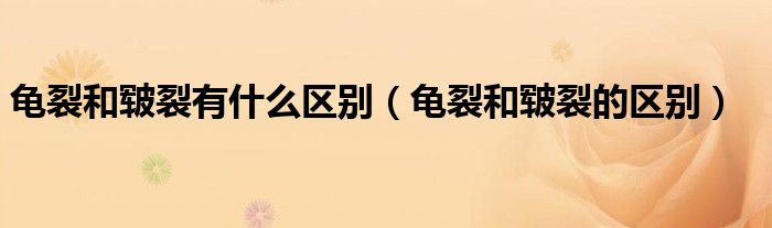 龟裂和皲裂有什么区别（龟裂和皲裂的区别）