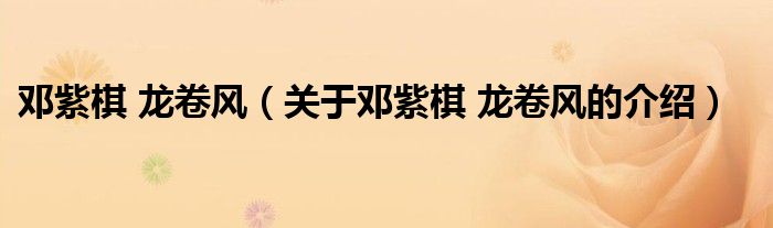 邓紫棋 龙卷风（关于邓紫棋 龙卷风的介绍）