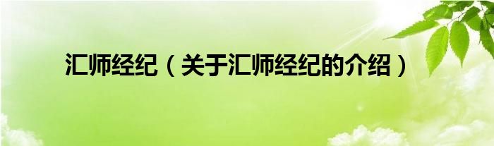 汇师经纪（关于汇师经纪的介绍）
