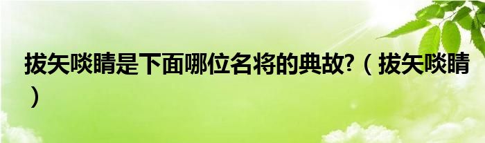 拔矢啖睛是下面哪位名将的典故?（拔矢啖睛）
