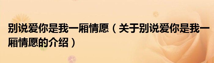别说爱你是我一厢情愿（关于别说爱你是我一厢情愿的介绍）