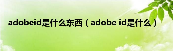 adobeid是什么东西（adobe id是什么）